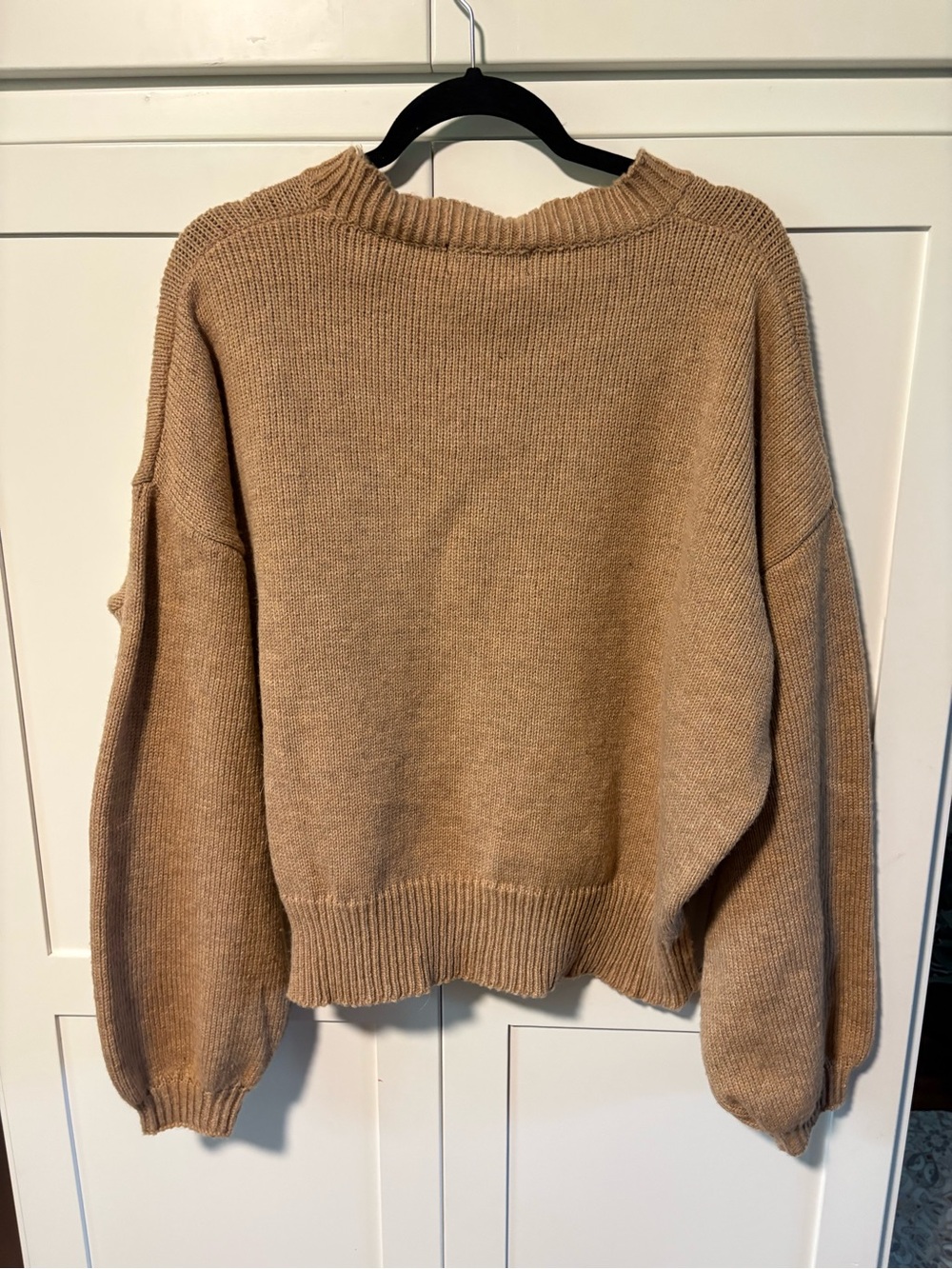 Alice Blue Camel Flower-Appliqué Crewneck Sweater - Picture 6 of 8